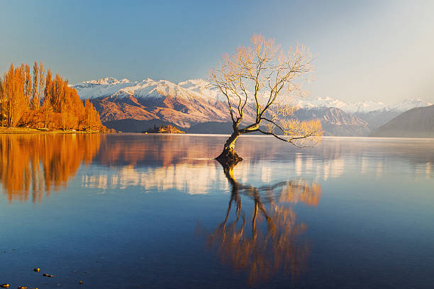 Lago Wanaka