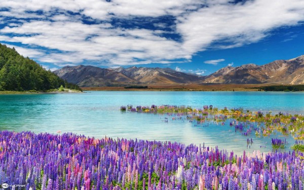 Lago Tekapo